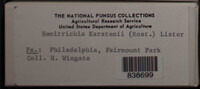 Image Associated With the Occurence